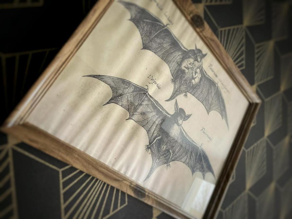 New - Bat'Appart - Dijon - Insolite Longvic Eksteriør bilde